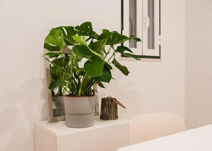 Large Central Duplex Penthouse 3 Bath 14 Guests *